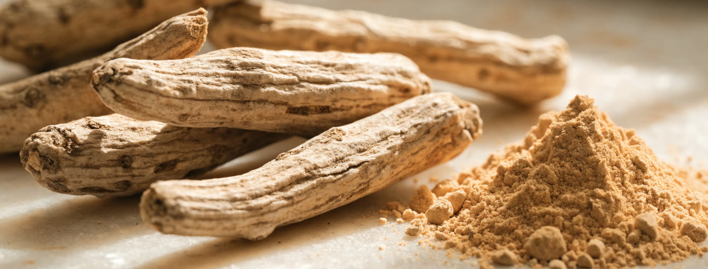 Dried ashwagandha root and powder on a pale surface